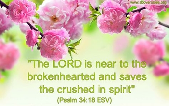 3EF0A8AE-F2C1-43F6-B31C-FFC535C60309