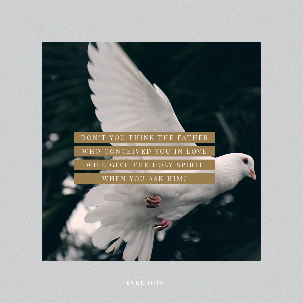 D03E379B-20C6-4BC1-B541-E38A7BDC2AEA