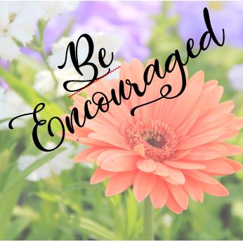 E16897E8-D395-4503-98FB-C1012B1C5547