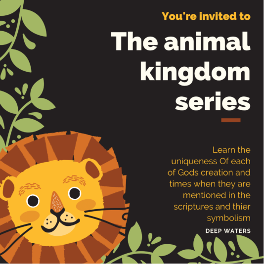 A14A3D94-6526-4C51-8AA0-FF3DC23BA842