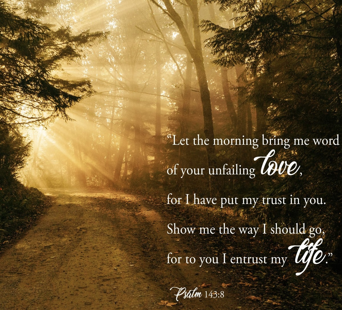 8371A62D-8892-4CA2-A714-BD663B705385