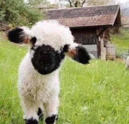 55EF8682-896B-465E-8B5B-2ACB55CEA37F