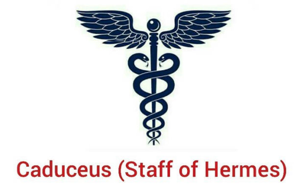 3B224AB6-04ED-40C1-B7E8-80180C327C48