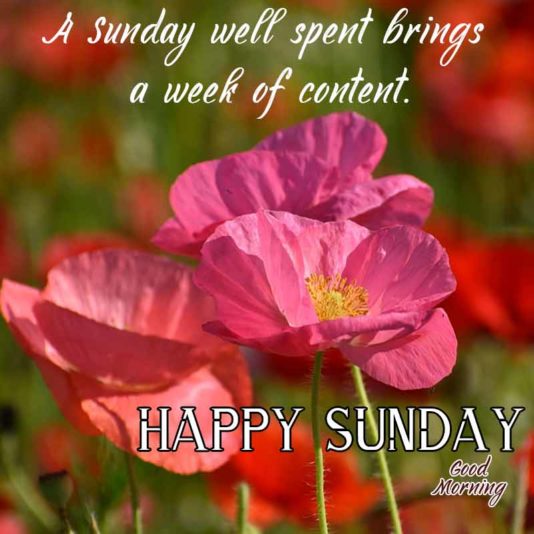 happy-sunday-quotes-with-images1