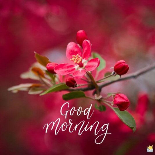 2E77E9B1-41E8-4544-BE34-ED346306594B