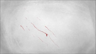 10000000_574651543902094_5949830678621814020_n