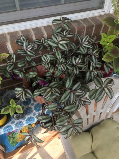 D43E9435-0712-40D6-9DF7-7817960CCCB1