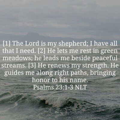 c2df62a3-1b02-4f12-94e2-2571c4e9af20