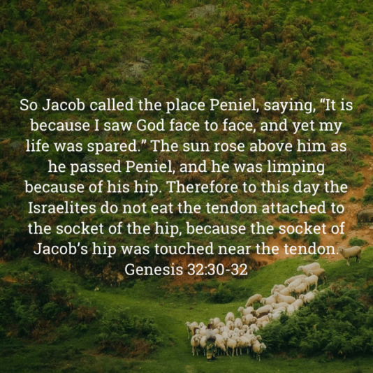 95141386-899A-48F4-B5D5-E4A4323DC016