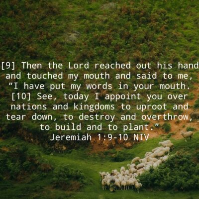 103e66ab-c72f-4c2e-b1e8-fd9eef995a86