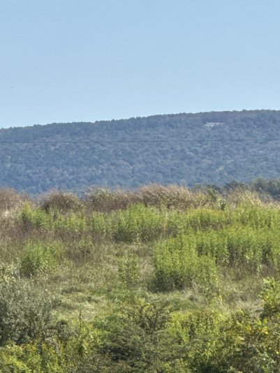 55F4834E-3CE4-49D4-8B65-2CB6681AADAF