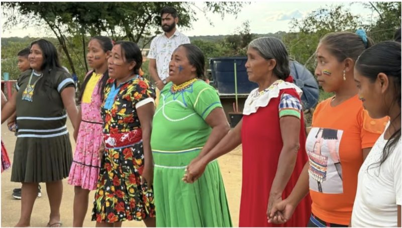 saturday spotlight - brazil 5