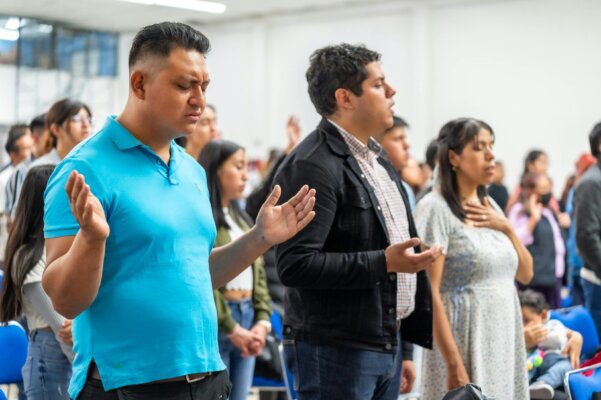 pexels-israwmx-27992014